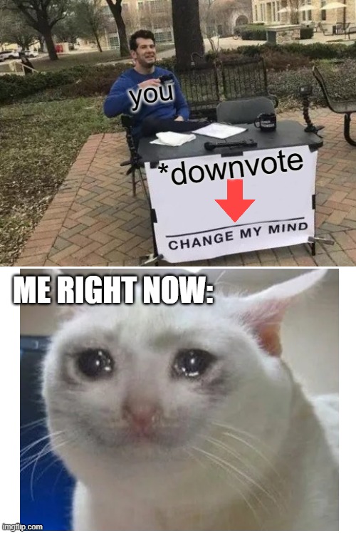 Change My Mind | you; *downvote; ME RIGHT NOW: | image tagged in memes,change my mind,sad cat,downvote | made w/ Imgflip meme maker