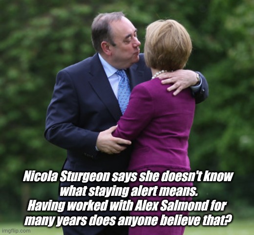 Nicola Sturgeon | Nicola Sturgeon says she doesn't know
 what staying alert means.
Having worked with Alex Salmond for 
many years does anyone believe that? | image tagged in scotland | made w/ Imgflip meme maker