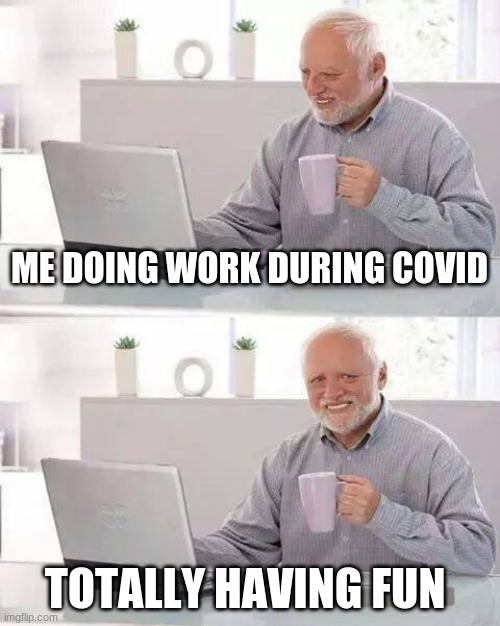 fun right? | ME DOING WORK DURING COVID; TOTALLY HAVING FUN | image tagged in memes,hide the pain harold,covid-19,fun | made w/ Imgflip meme maker