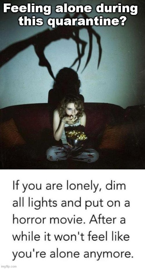 If you live alone this will help you feel like someone is in the house. | Feeling alone during 
this quarantine? | image tagged in quarantine,lonely | made w/ Imgflip meme maker