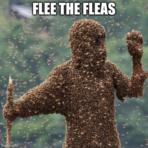 FLEE THE FLEAS | image tagged in fleas | made w/ Imgflip meme maker