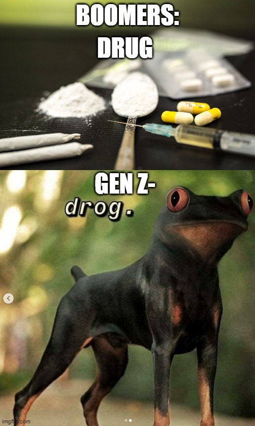 I'll buy me some drog. | DRUG; BOOMERS:; GEN Z- | image tagged in memes,fun,dog,frog,drugs,generation z | made w/ Imgflip meme maker
