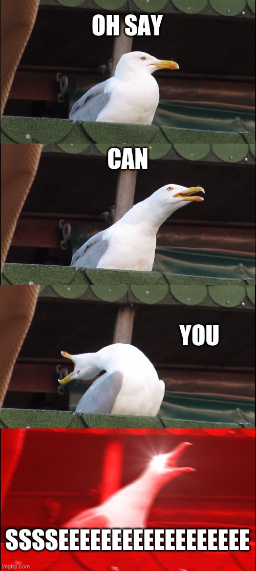Inhaling Seagull | OH SAY; CAN; YOU; SSSSEEEEEEEEEEEEEEEEEE | image tagged in memes,inhaling seagull | made w/ Imgflip meme maker