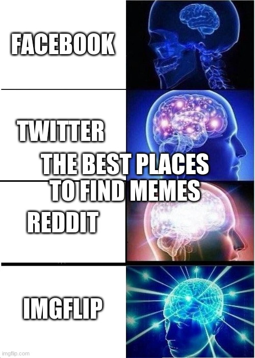 IMGFLIP | FACEBOOK; TWITTER; THE BEST PLACES TO FIND MEMES; REDDIT; IMGFLIP | image tagged in memes,expanding brain | made w/ Imgflip meme maker