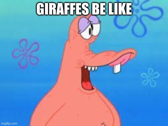 :/ | GIRAFFES BE LIKE | image tagged in yo mama | made w/ Imgflip meme maker