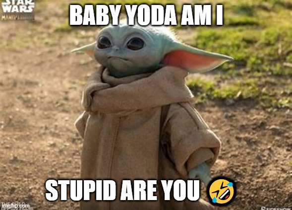 Baby yoda has spoken | BABY YODA AM I; STUPID ARE YOU 🤣 | image tagged in baby yoda,funny | made w/ Imgflip meme maker