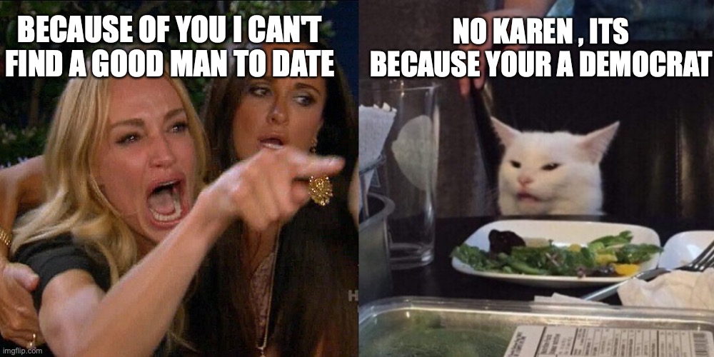 Woman yelling at cat | NO KAREN , ITS BECAUSE YOUR A DEMOCRAT; BECAUSE OF YOU I CAN'T FIND A GOOD MAN TO DATE | image tagged in woman yelling at cat | made w/ Imgflip meme maker