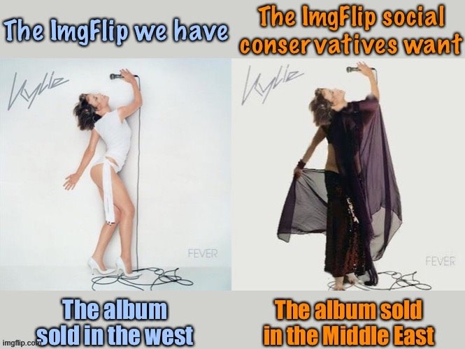 The ImgFlip we have vs. the ImgFlip they want. | image tagged in misogyny,imgflip,memes about memeing,sexy legs,feminism,free speech | made w/ Imgflip meme maker