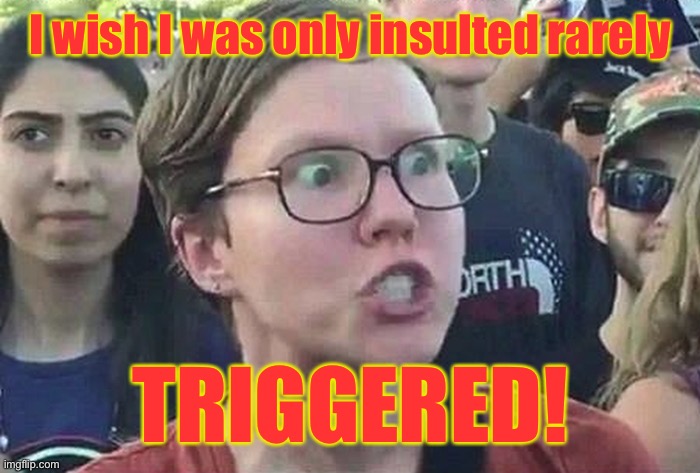 Poor little liberal girl | I wish I was only insulted rarely; TRIGGERED! | image tagged in triggered liberal,rare insults,triggered | made w/ Imgflip meme maker