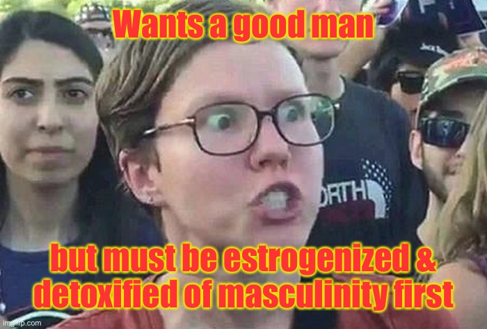 Triggered Liberal | Wants a good man but must be estrogenized & detoxified of masculinity first | image tagged in triggered liberal | made w/ Imgflip meme maker