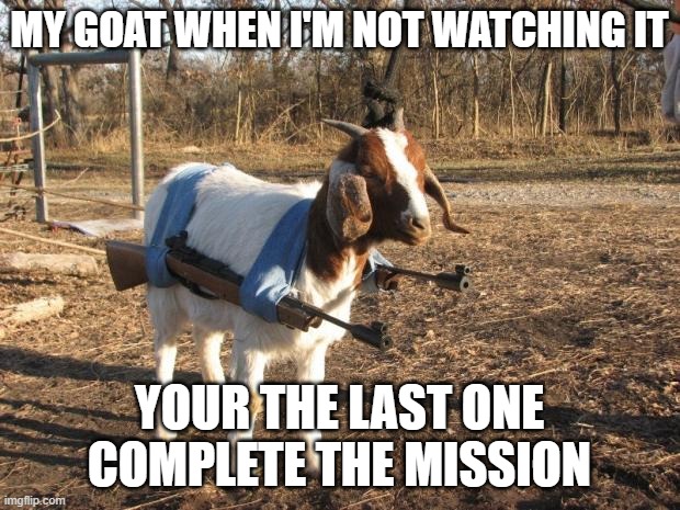 your the last one complete the mission | MY GOAT WHEN I'M NOT WATCHING IT; YOUR THE LAST ONE COMPLETE THE MISSION | image tagged in call of duty goat | made w/ Imgflip meme maker