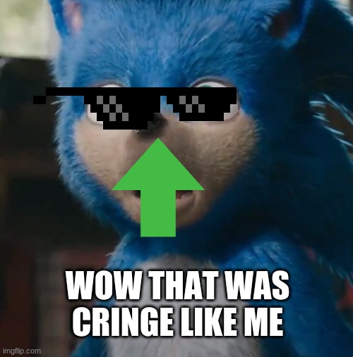 Sonic Movie | WOW THAT WAS CRINGE LIKE ME | image tagged in sonic movie | made w/ Imgflip meme maker