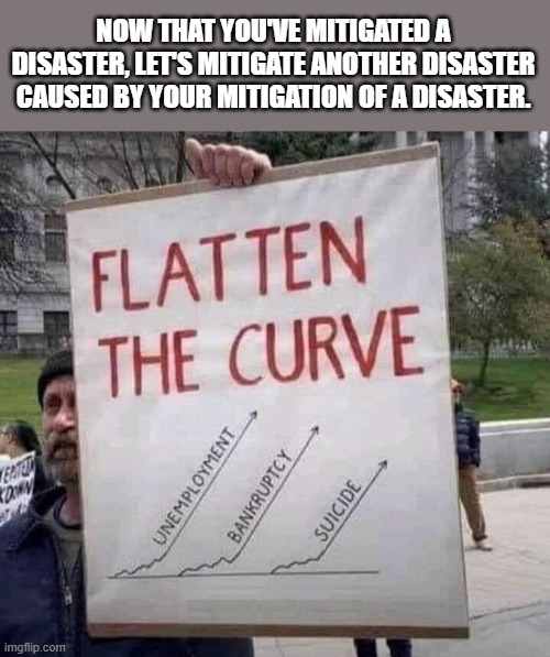 Other things are spiking. | NOW THAT YOU'VE MITIGATED A DISASTER, LET'S MITIGATE ANOTHER DISASTER CAUSED BY YOUR MITIGATION OF A DISASTER. | image tagged in politics,political meme,coronavirus | made w/ Imgflip meme maker