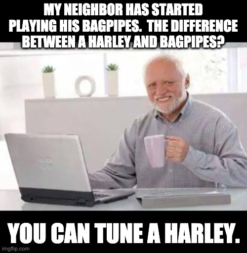 You can't tune bagpipes | MY NEIGHBOR HAS STARTED PLAYING HIS BAGPIPES.  THE DIFFERENCE BETWEEN A HARLEY AND BAGPIPES? YOU CAN TUNE A HARLEY. | image tagged in harold | made w/ Imgflip meme maker