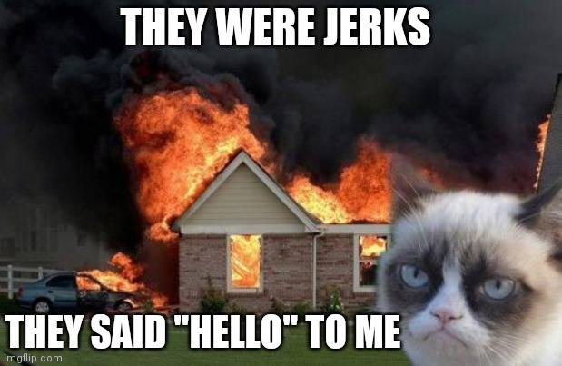 Burn Kitty Meme | THEY WERE JERKS; THEY SAID "HELLO" TO ME | image tagged in memes,burn kitty,grumpy cat | made w/ Imgflip meme maker