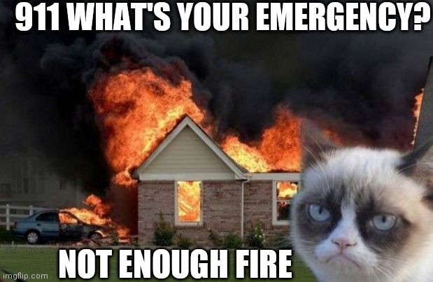 Burn Kitty | 911 WHAT'S YOUR EMERGENCY? NOT ENOUGH FIRE | image tagged in memes,burn kitty,grumpy cat | made w/ Imgflip meme maker