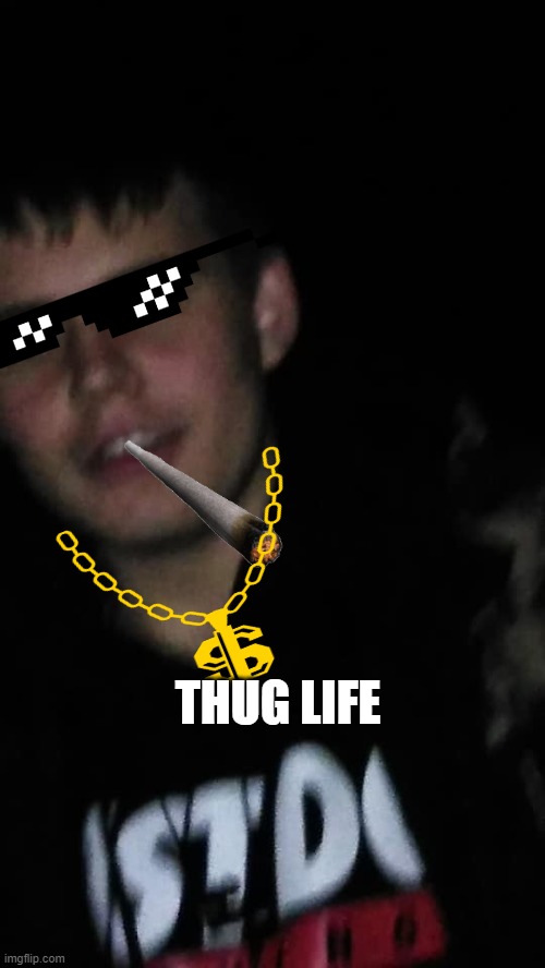 Thug Life | THUG LIFE | image tagged in thug life | made w/ Imgflip meme maker