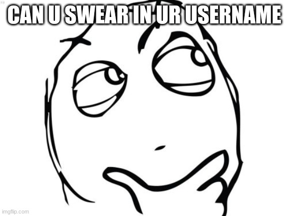 Question Rage Face | CAN U SWEAR IN UR USERNAME | image tagged in memes,question rage face | made w/ Imgflip meme maker