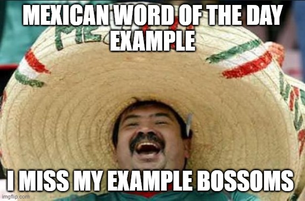 mexican word of the day | MEXICAN WORD OF THE DAY
EXAMPLE; I MISS MY EXAMPLE BOSSOMS | image tagged in mexican word of the day,funny,memes,funny memes | made w/ Imgflip meme maker
