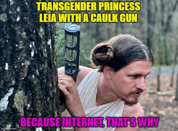 Just when you thought you've seen it all | TRANSGENDER PRINCESS LEIA WITH A CAULK GUN; BECAUSE INTERNET, THAT'S WHY | image tagged in funny,star wars,princess leia,transgender,internet,rednecks | made w/ Imgflip meme maker