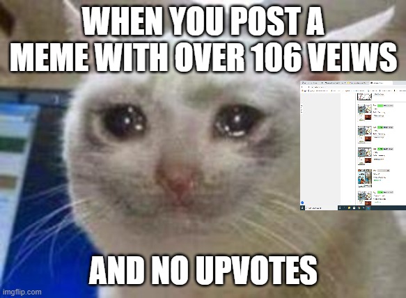 Sad cat | WHEN YOU POST A MEME WITH OVER 106 VEIWS; AND NO UPVOTES | image tagged in sad cat | made w/ Imgflip meme maker