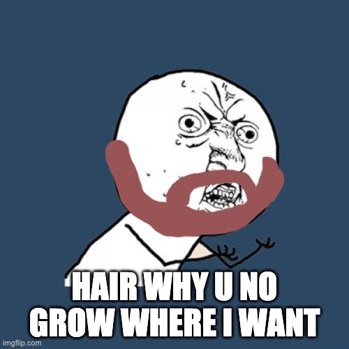 Disobedient Hair | HAIR WHY U NO GROW WHERE I WANT | image tagged in memes,y u no | made w/ Imgflip meme maker