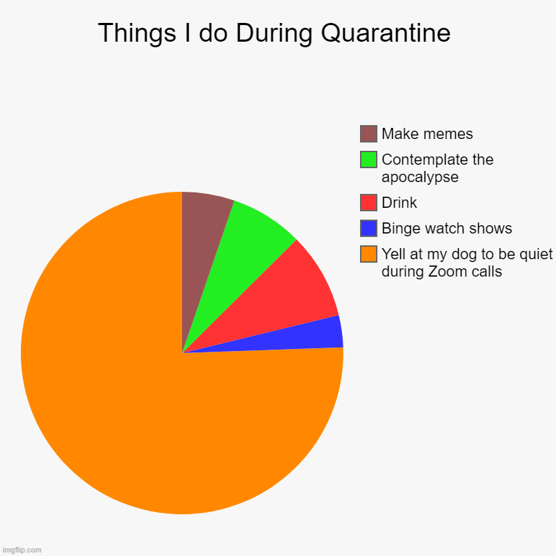 new normal | Things I do During Quarantine | Yell at my dog to be quiet during Zoom calls, Binge watch shows, Drink , Contemplate the apocalypse, Make me | image tagged in charts,pie charts,zoom,life,covid-19,dogs | made w/ Imgflip chart maker
