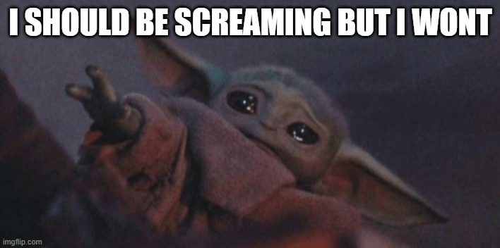 Baby yoda cry | I SHOULD BE SCREAMING BUT I WONT | image tagged in baby yoda cry | made w/ Imgflip meme maker