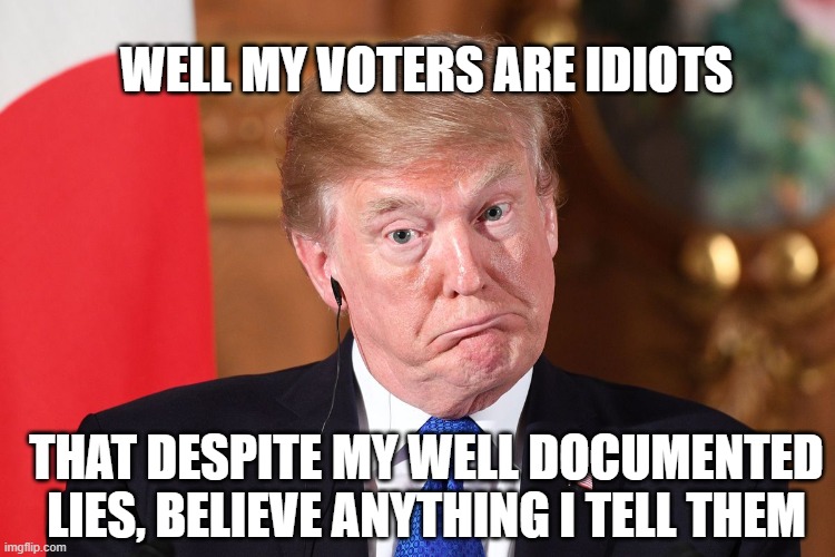 Trump dumbfounded | WELL MY VOTERS ARE IDIOTS THAT DESPITE MY WELL DOCUMENTED LIES, BELIEVE ANYTHING I TELL THEM | image tagged in trump dumbfounded | made w/ Imgflip meme maker