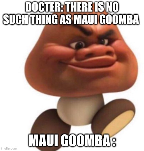 Goomba | DOCTER: THERE IS NO SUCH THING AS MAUI GOOMBA; MAUI GOOMBA : | image tagged in maui goomba | made w/ Imgflip meme maker