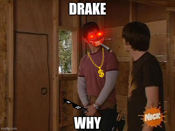 Why, Drake? | DRAKE; WHY | image tagged in drake and josh treehouse | made w/ Imgflip meme maker