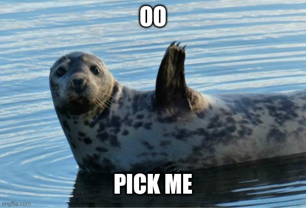 Seal | OO; PICK ME | image tagged in seal | made w/ Imgflip meme maker