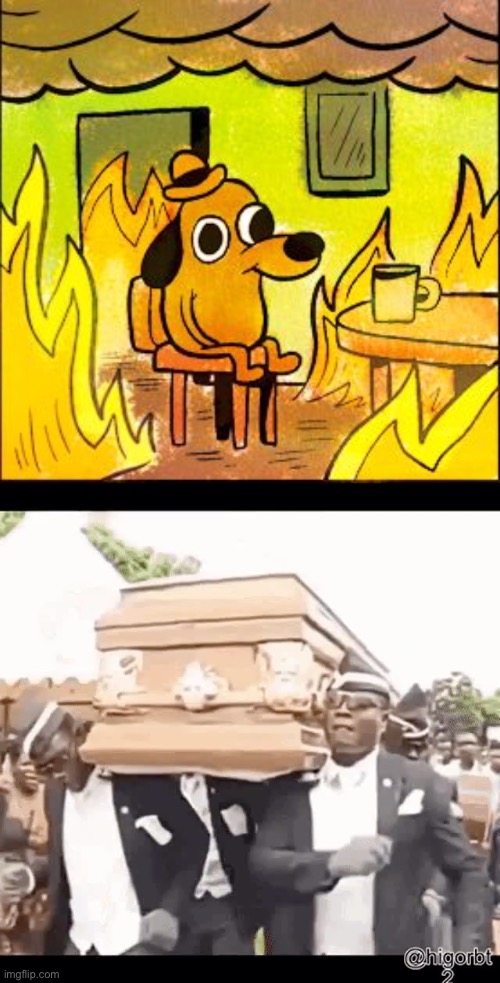 image tagged in this is fine,dancing coffin meme | made w/ Imgflip meme maker