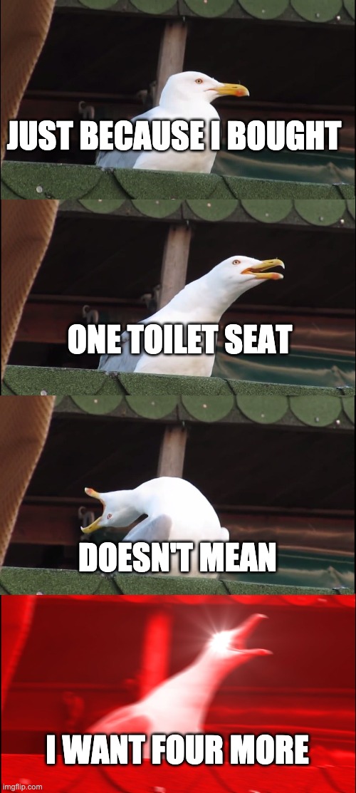 Inhaling Seagull | JUST BECAUSE I BOUGHT; ONE TOILET SEAT; DOESN'T MEAN; I WANT FOUR MORE | image tagged in memes,inhaling seagull | made w/ Imgflip meme maker