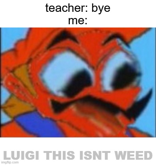 MARIO THIS IS BROKEN | teacher: bye
me:; LUIGI THIS ISNT WEED | image tagged in luigi this isnt weed | made w/ Imgflip meme maker