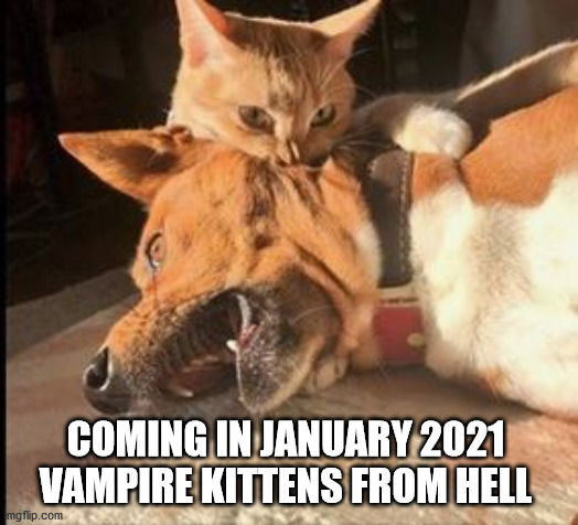 If You Thought 2020 Was Bad Just Wait!!! | COMING IN JANUARY 2021
VAMPIRE KITTENS FROM HELL | image tagged in kittens | made w/ Imgflip meme maker