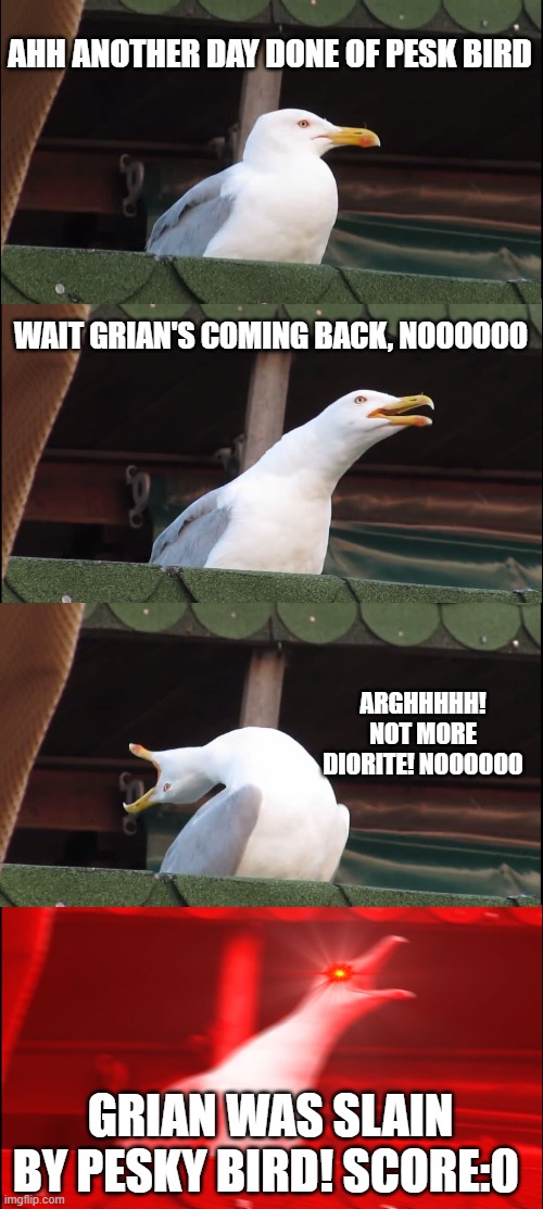 Inhaling Seagull | AHH ANOTHER DAY DONE OF PESK BIRD; WAIT GRIAN'S COMING BACK, NOOOOOO; ARGHHHHH! NOT MORE DIORITE! NOOOOOO; GRIAN WAS SLAIN BY PESKY BIRD! SCORE:0 | image tagged in memes,inhaling seagull | made w/ Imgflip meme maker