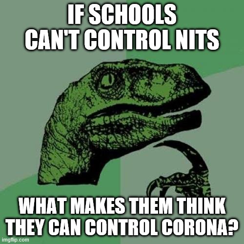 Philosoraptor | IF SCHOOLS CAN'T CONTROL NITS; WHAT MAKES THEM THINK THEY CAN CONTROL CORONA? | image tagged in memes,philosoraptor | made w/ Imgflip meme maker