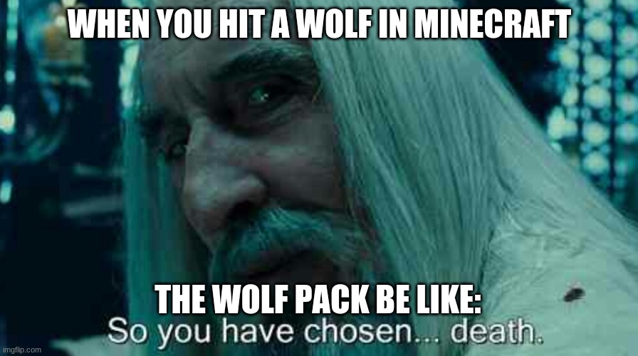 So you have chosen death | WHEN YOU HIT A WOLF IN MINECRAFT; THE WOLF PACK BE LIKE: | image tagged in so you have chosen death | made w/ Imgflip meme maker