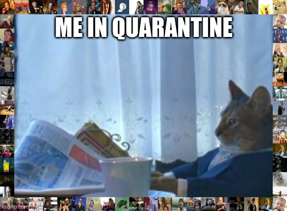 I Should Buy A Boat Cat Meme | ME IN QUARANTINE | image tagged in memes,i should buy a boat cat | made w/ Imgflip meme maker