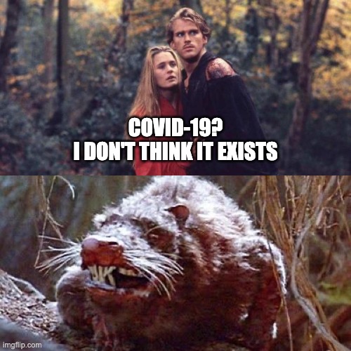 COVID of unusual size | COVID-19?
I DON'T THINK IT EXISTS | image tagged in covid-19,coronavirus,princess bride | made w/ Imgflip meme maker