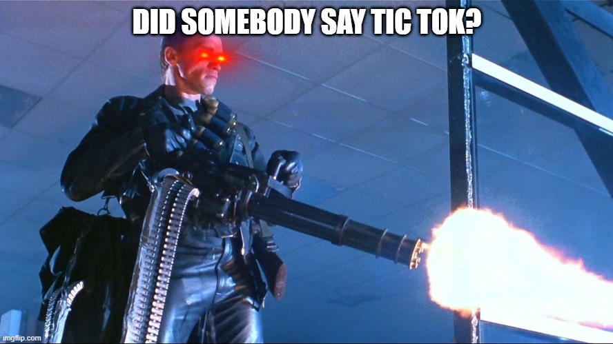 kill tic tok | DID SOMEBODY SAY TIC TOK? | image tagged in terminator minigun arnold schwarzenegger | made w/ Imgflip meme maker