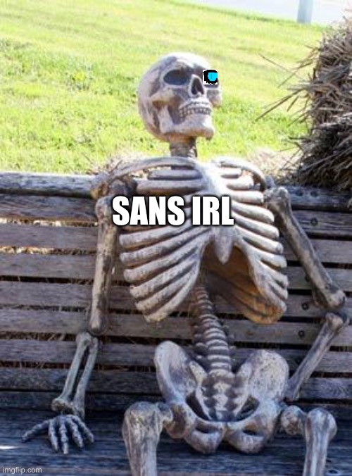 Sans IRL | SANS IRL | image tagged in memes,waiting skeleton | made w/ Imgflip meme maker