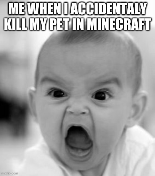 Angry Baby Meme | ME WHEN I ACCIDENTALY KILL MY PET IN MINECRAFT | image tagged in memes,angry baby | made w/ Imgflip meme maker