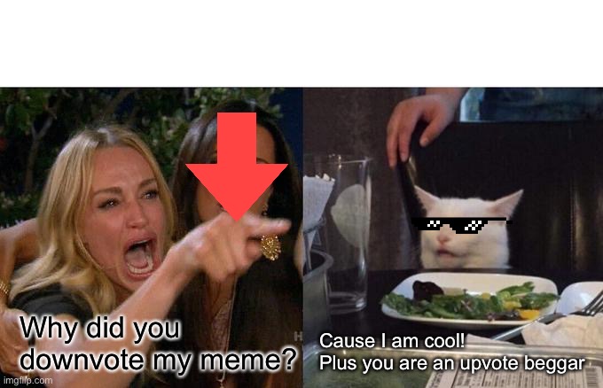 Woman Yelling At Cat | Why did you downvote my meme? Cause I am cool!
Plus you are an upvote beggar | image tagged in memes,woman yelling at cat | made w/ Imgflip meme maker
