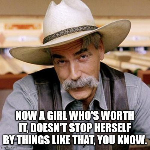 SARCASM COWBOY | NOW A GIRL WHO'S WORTH IT, DOESN'T STOP HERSELF BY THINGS LIKE THAT, YOU KNOW. | image tagged in sarcasm cowboy | made w/ Imgflip meme maker