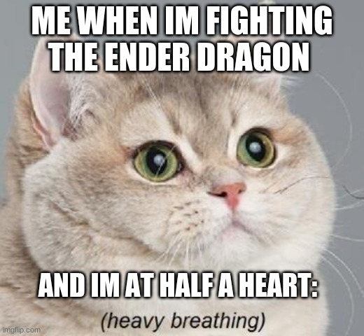 Heavy Breathing Cat | ME WHEN IM FIGHTING THE ENDER DRAGON; AND IM AT HALF A HEART: | image tagged in memes,heavy breathing cat | made w/ Imgflip meme maker