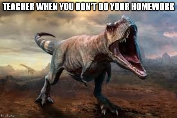 Not doing your homework | TEACHER WHEN YOU DON'T DO YOUR HOMEWORK | image tagged in lol so funny | made w/ Imgflip meme maker