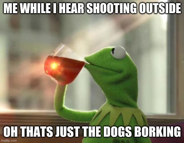 But That's None Of My Business (Neutral) | ME WHILE I HEAR SHOOTING OUTSIDE; OH THATS JUST THE DOGS BORKING | image tagged in memes,but that's none of my business neutral | made w/ Imgflip meme maker