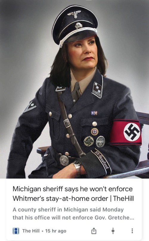 Michigan sheriff says he won't enforce Whitmer's stay at home order | image tagged in gretchen whitmer,nazi governor,feminazi,michigan,nazis,democratic party | made w/ Imgflip meme maker
